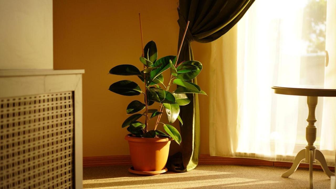 Trikos Boutique Hotel اسطنبول المظهر الخارجي الصورة
